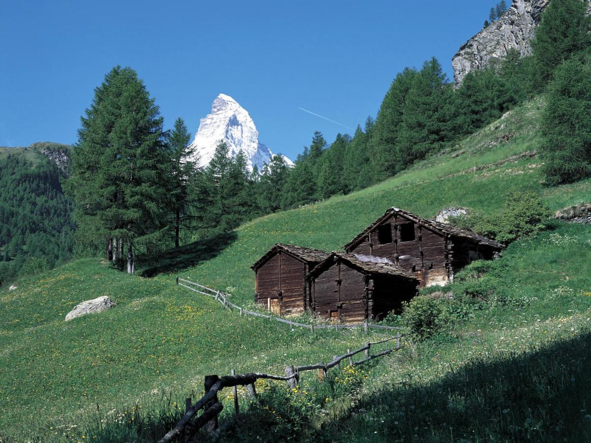 Apartment By Interhome Zermatt Buitenkant foto