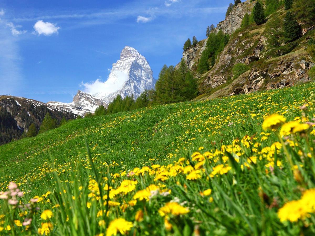 Apartment By Interhome Zermatt Buitenkant foto